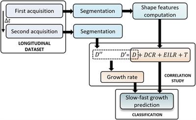 Assessment of shape-based features ability to predict the ascending aortic aneurysm growth